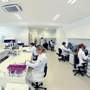 Lab-SF-2